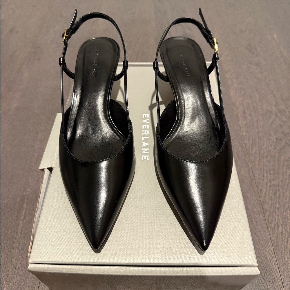 Everlane Women's Black Pointed Slingback Heels